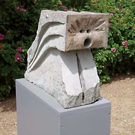 Jan Koblasa | Kleiner Löwe 1
