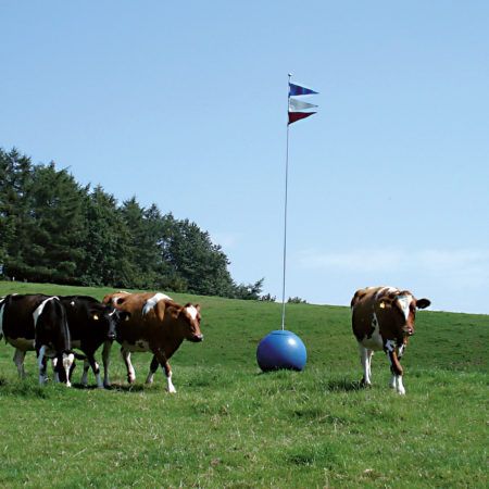 Klaus Großkopf | Landmarke