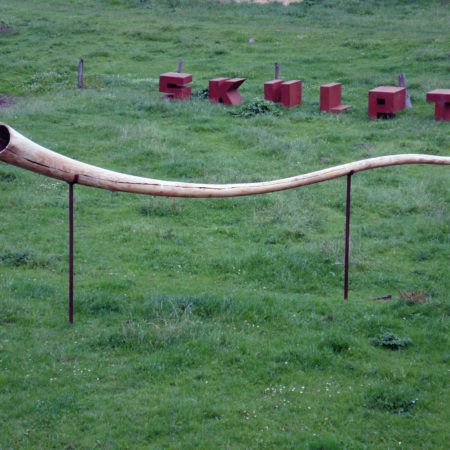Ulf Reisener | Strandhorn