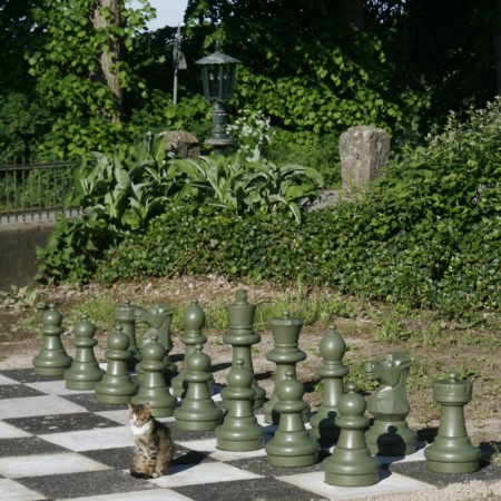 Tina Schwichtenberg | Schachspiel